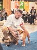  - Paris Dog Show