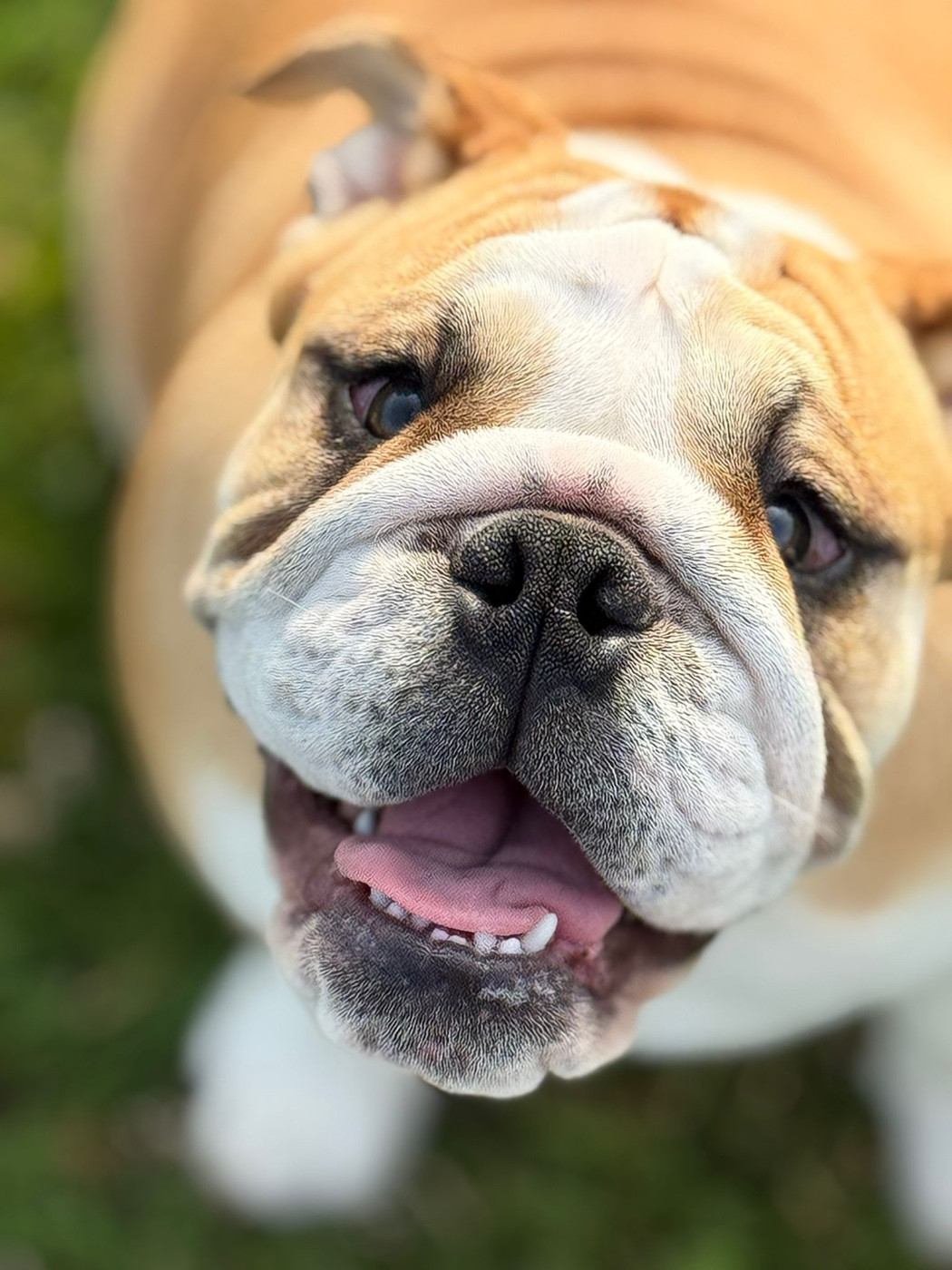 Voir Les Étoiles Des éclats De Cassiopée