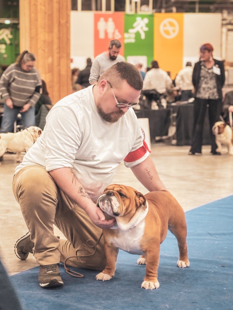 Paris Dog Show